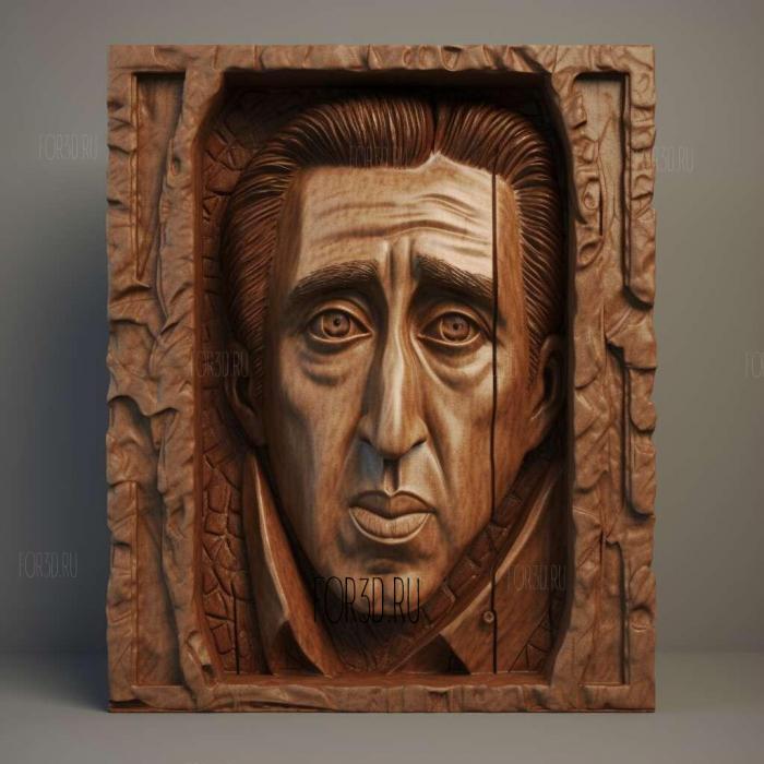 nic cage 1 stl model for CNC